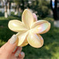 Beau - Gradient Plastic Flower Design Claw Clip