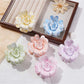 Beau - Cute Flower Accessories Hair Clip