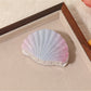 Beau - Minimalist Shell Shaped Hair Claw Clip