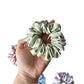 Gifty - Solid Color Polyester Satin Look Scrunchie