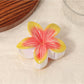 Beau - Sweet Gradient Floral Claw Clip