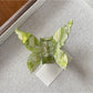 Beau - Pastel Butterfly Shaped Hair Claw Clip