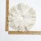 Gifty - Hollow Lace Lace Hair Circle