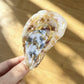 Beau - Marine Style Oyster Form Claw Clip