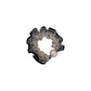 Gifty - Polka Dot Mesh Ruffle Polyester Scrunchie