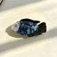 Beau fish claw clip worn in a half-up hairstyle on dark hair