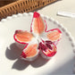 Beau - Colorful Egg Flower Hair Clip