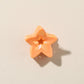 Beau - Glossy Star Shaped PS Decorative Claw Clip