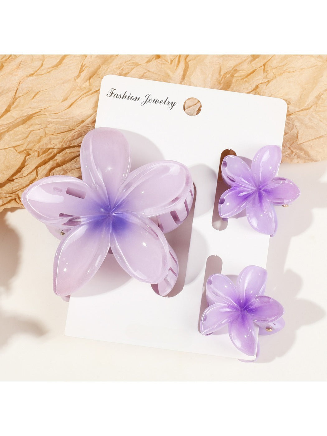 Beau - Gradient Frangipani Hair Clips Set