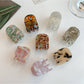 Beau charming acetate hair clip in tortoiseshell pattern on white background