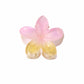 Beau - Gradient Petal Floral Plastic Claw Clip