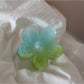 Beau - Glossy Jelly Finish Flower Star Claw Clip