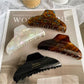 Beau - Elegant Modern Acetate Hair Clip