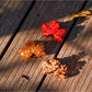 Beau - Simulated Maple Leaf Acetate Hair Claw Clip