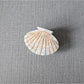 Beau - Chic Shell Shaped Claw Clip