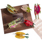 Beau - Fruit Shaped Acetate Hair Claw Clip