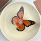 Beau - Ethereal Butterfly Hair Clip