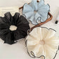 Gifty - Pleated Ruffle Edge Chiffon Scrunchie