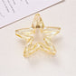 Beau - Transparent Star Shape Plastic Claw Hair Clip