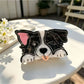 Beau puppy claw clip displayed with other hair accessories