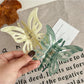 Beau - Sweet Style Butterfly Hair Claw Clip