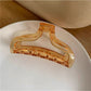 Beau - Transparent Fish Tail Claw Clip