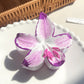 Beau - Bright Flower Shaped Cute Claw Clip