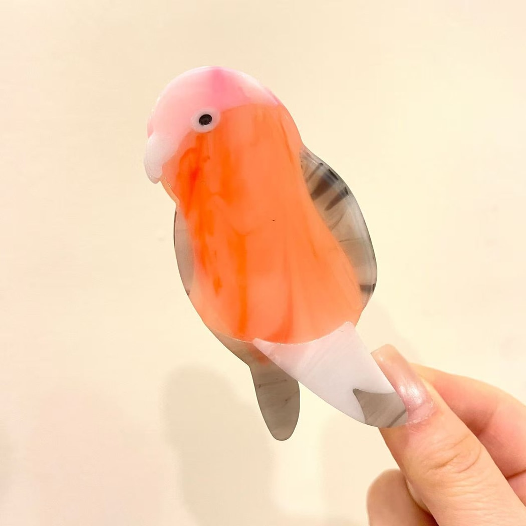 Beau - Bird Motif Acetate Claw Clip