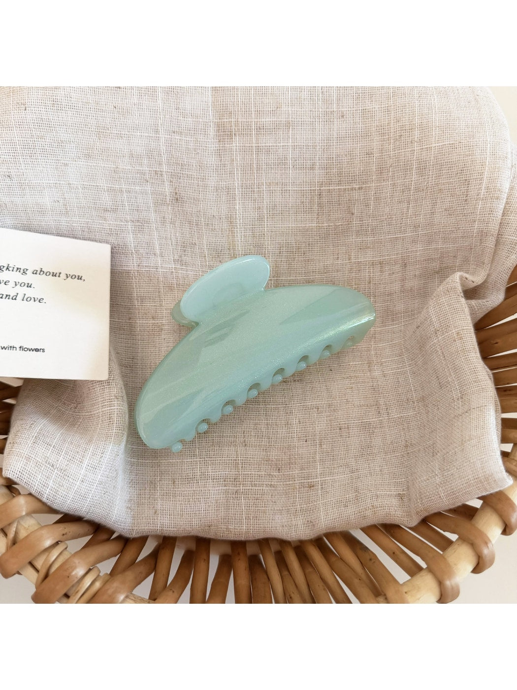 Beau - Fan Shaped Acrylic Alloy Hair Claw Clip