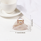 Beau - Asymmetrical Triangle Transparent Hair Clip