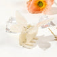 Beau - Trendy Acrylic Hair Clips