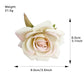 Beau - Elegant Vacation Style Flower Design Claw Clip