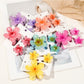 Beau - Flower Hair Clips Set
