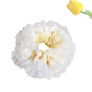 Gifty - Elegant Lace Hair Scrunchie Hair Tie