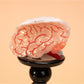 Beau - Brain Print Hair Claw Clip