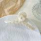 Beau - Minimalist Chic Acetate Hair Clip
