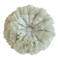 Scrunchie stretched to show elastic band inside mint green plaid tulle ruffles