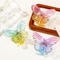 Beau - Gradient Transparent Hair Clips