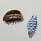 Beau - Rhinestone Acetate Fiber Alloy Claw Clip