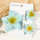 Beau - Gradient Frangipani Hair Clips Set