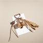 Keypus - Leopard Print Bow Keychain