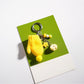Keypus - Cute Plush Glove-Shaped Keychain
