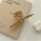 Top view of Beau gradient color claw clip showing smooth acetate finish