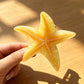 Beau - Pastel Toned Starfish Claw Clip