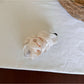 Beau - Minimal Pleated Satin Finish Banana Clip