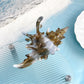 Beau - Colorful Conch Shape Hair Clip