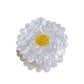 Beau - Daisy Sunflower Hair Clips Acetate