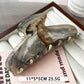 Beau plastic updo claw clip in beige displayed next to a matching hair accessory