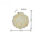 Mirroray - Shell-Shaped Mixed-Pattern Compact Mirror