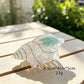 Beau - Ocean Animal Shape Acrylic Claw Clip